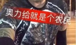 力哥爆料全集完整版视频,揭秘幕后真相，深度解析视频内容